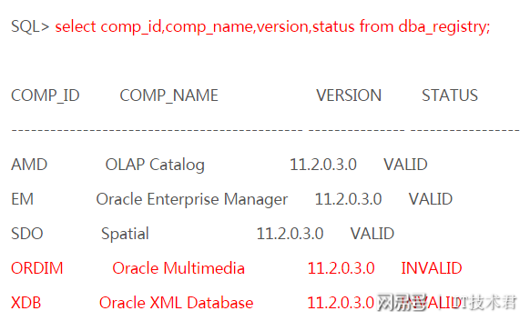 CDATA使用指南：避免XML解析错误，提升开发效率的实用技巧